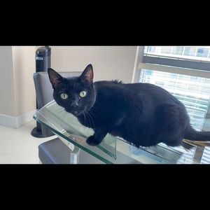 Meet your Posher, Sindy